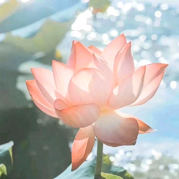 ∑就是爱搞怪*～