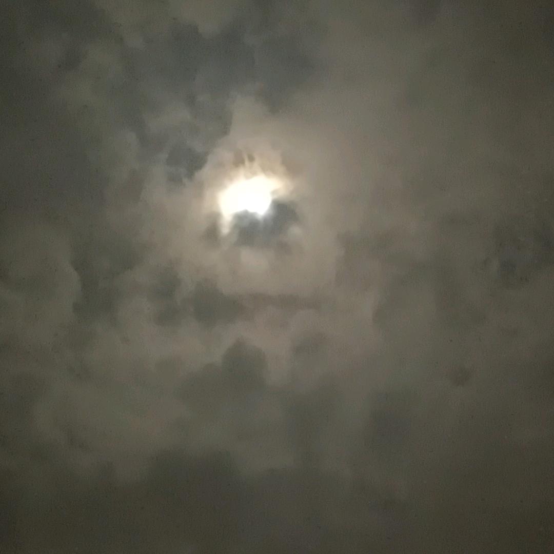 橙黄橘绿時