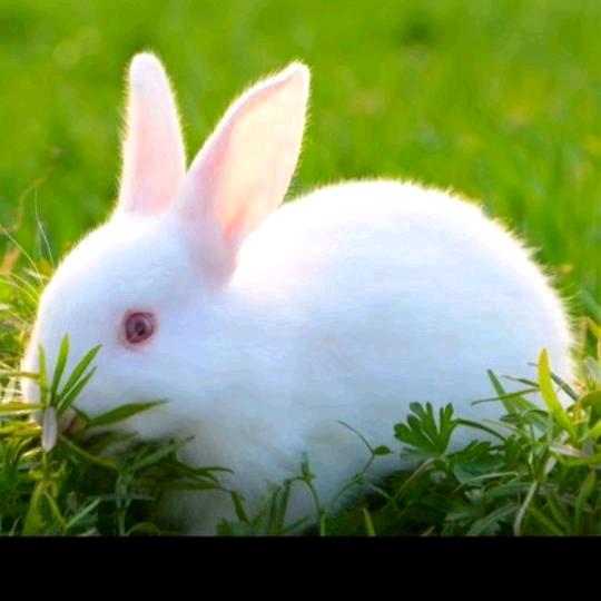 谈笑风生《8点到10点开播》