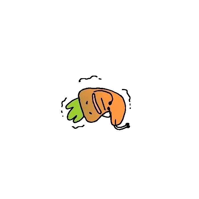 -张三