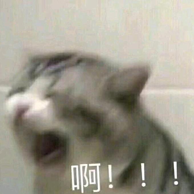 🌈地表最强🐼🐟