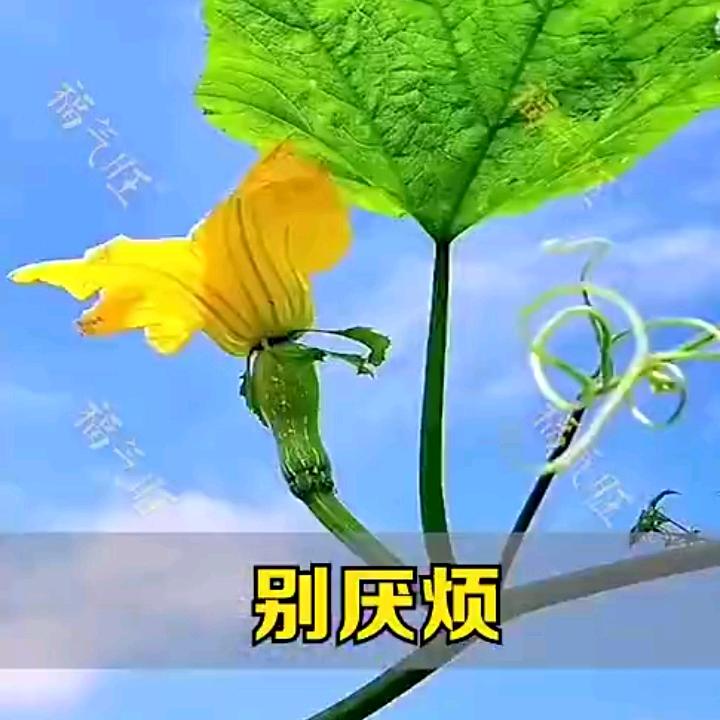 春天来了