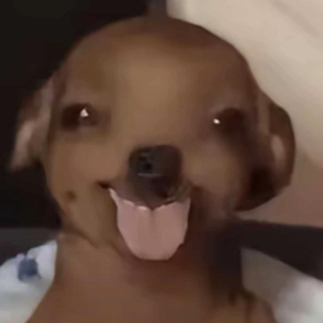 不说.