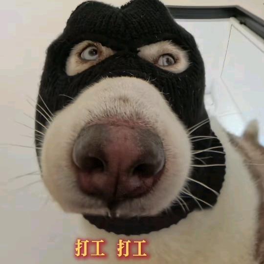 追命一袭