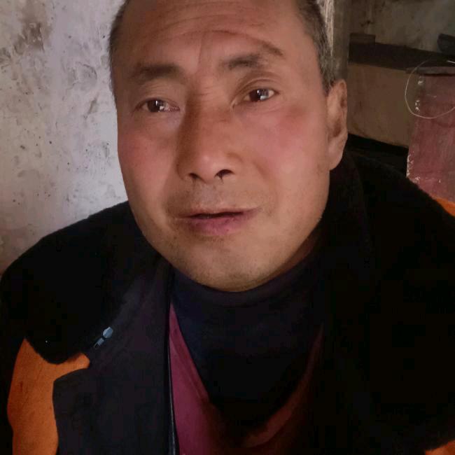 辛學文