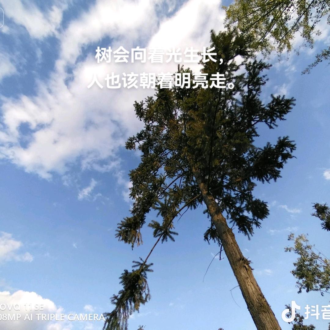 逝去流年丶
