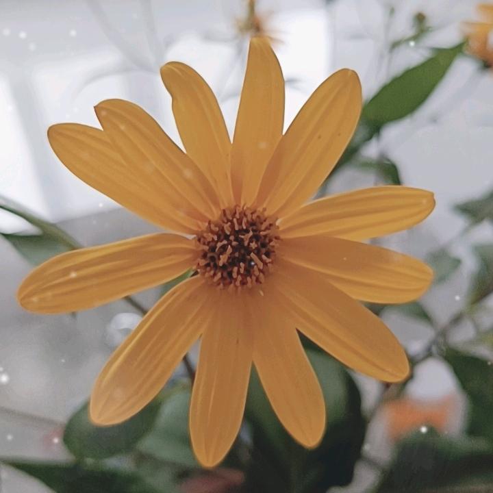 珍惜当下