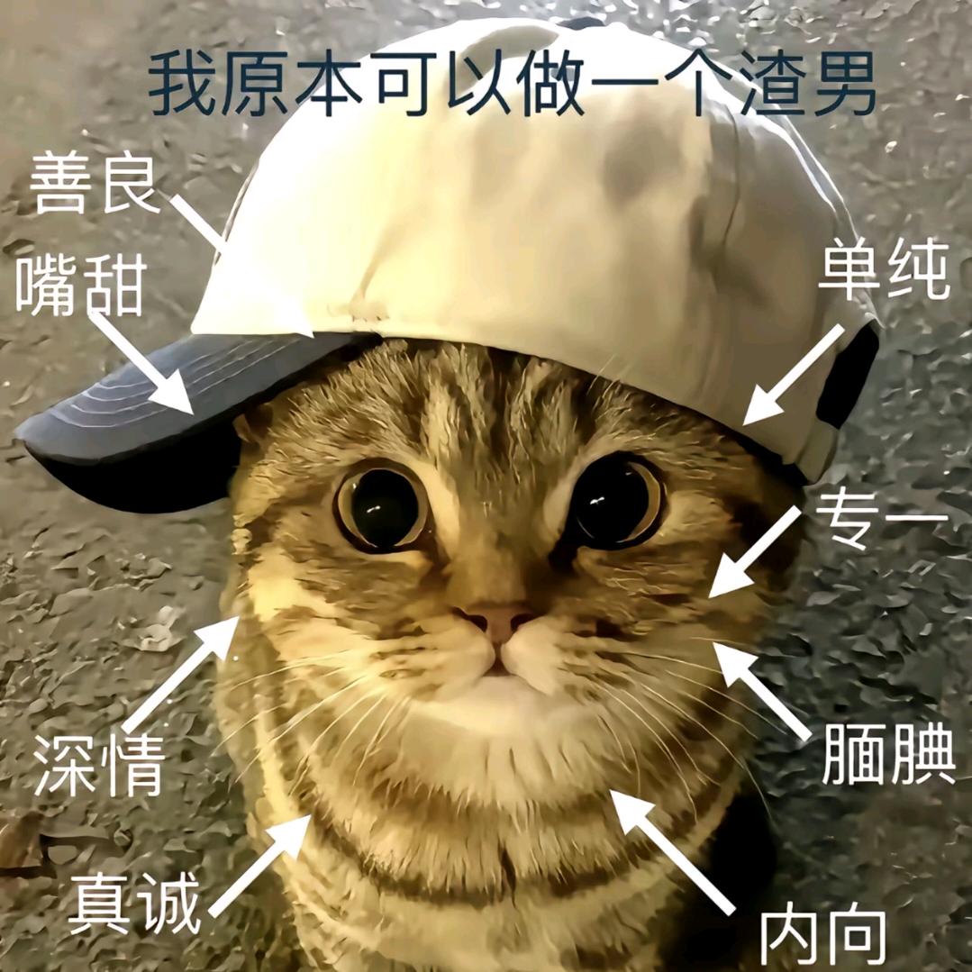 一只仙男吖
