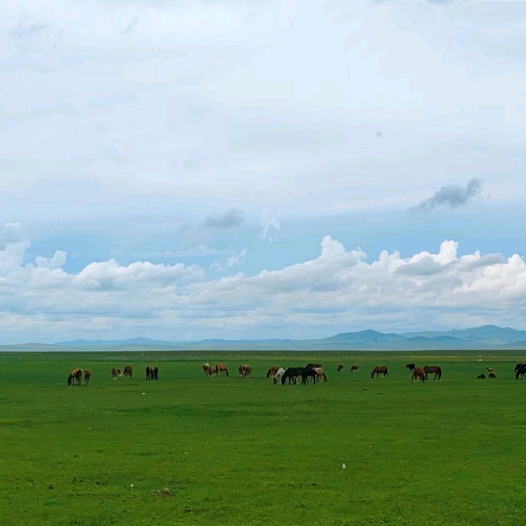 精品女装尾货批发
