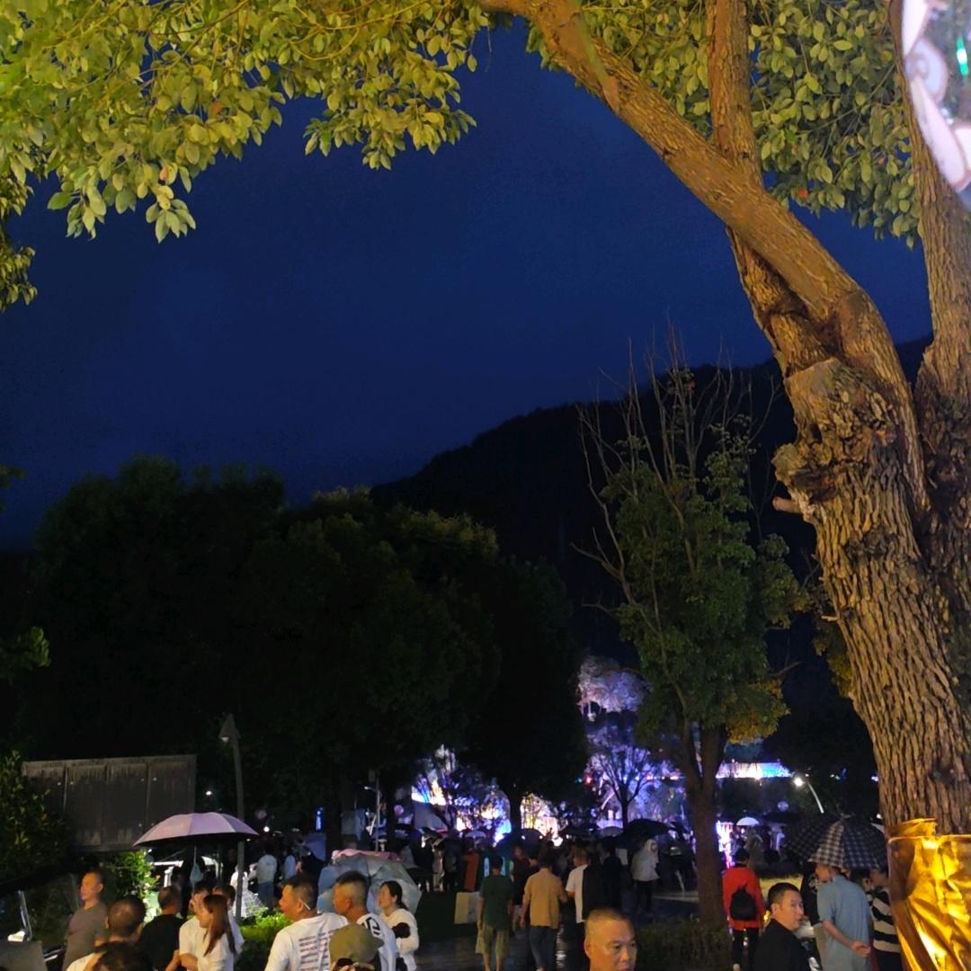 冬日暖阳🌼🌺