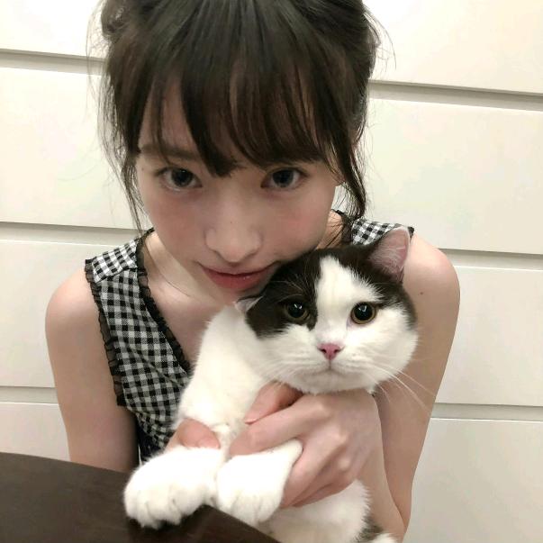 你还当我好骗
