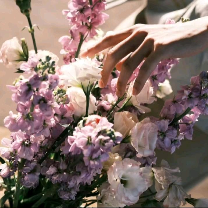 阿柠回家看了看㊗️解忧生日快乐，万事顺遂