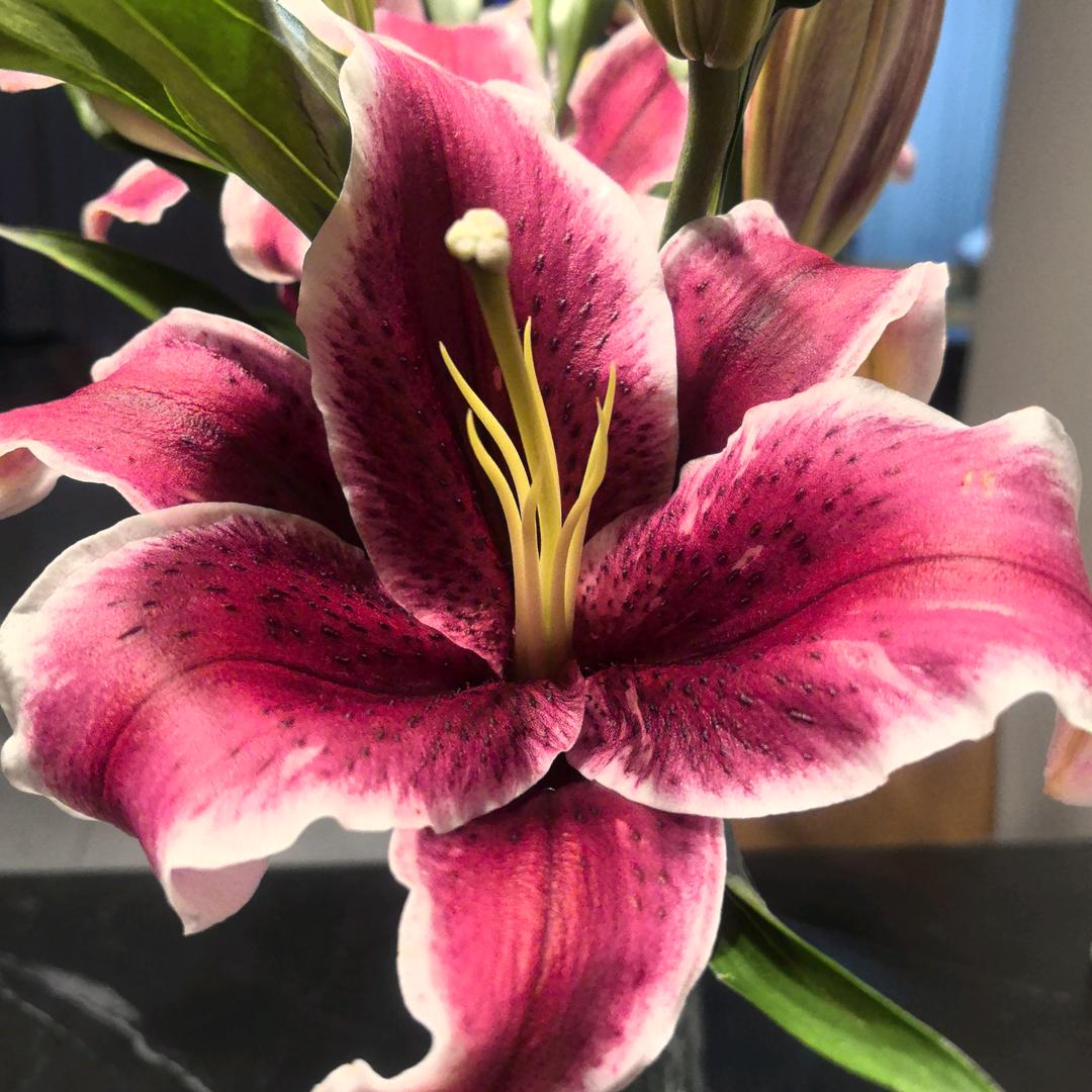 老式爆米花