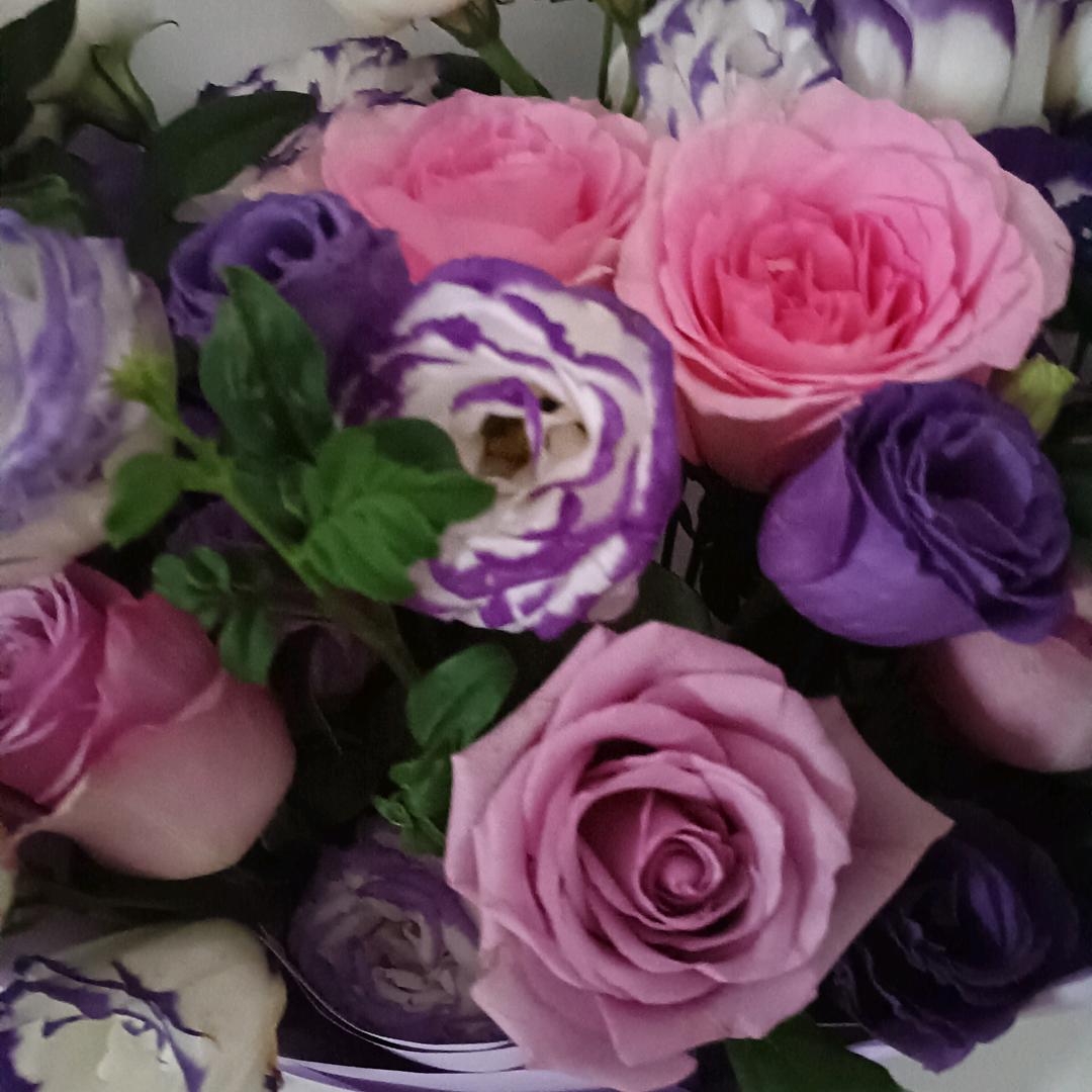 开心就好٩(๑^o^๑)۶