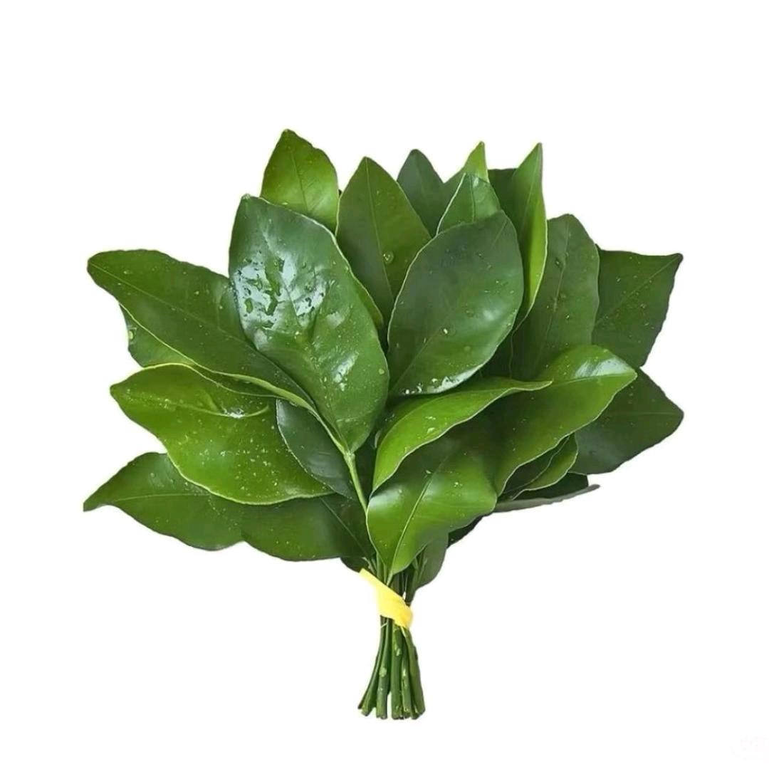 蜡笔小星