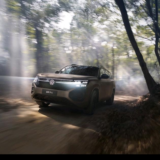 上汽大众鹤壁威佳小胖莹