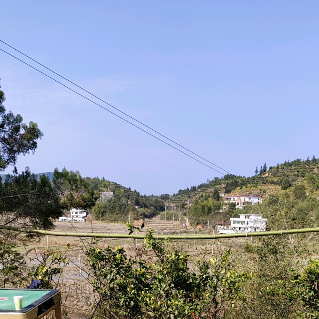 赣县区臻选农产品店