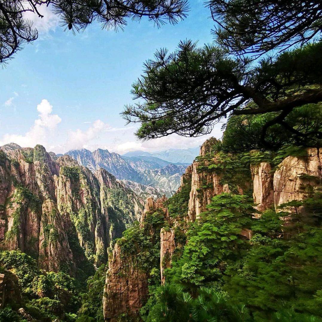 道玉🔥烧烤🔥