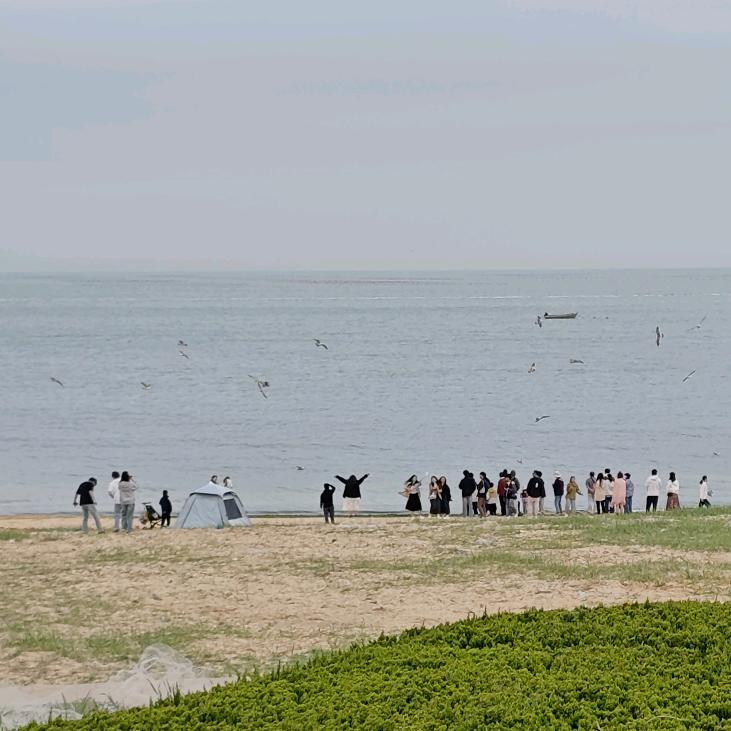 胡说老王·不胡说