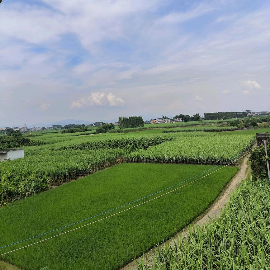 鞋包2号仓（广州白云批发）