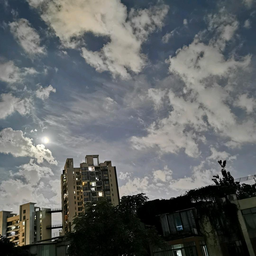 信达家电数码商行源钚43254513号