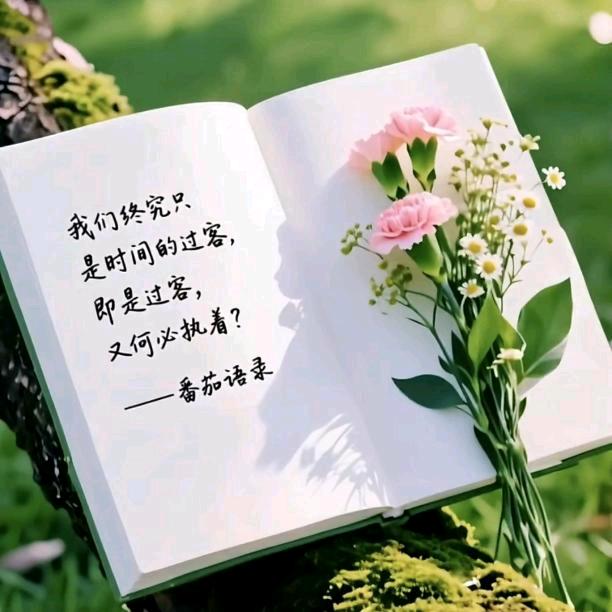 雨露…