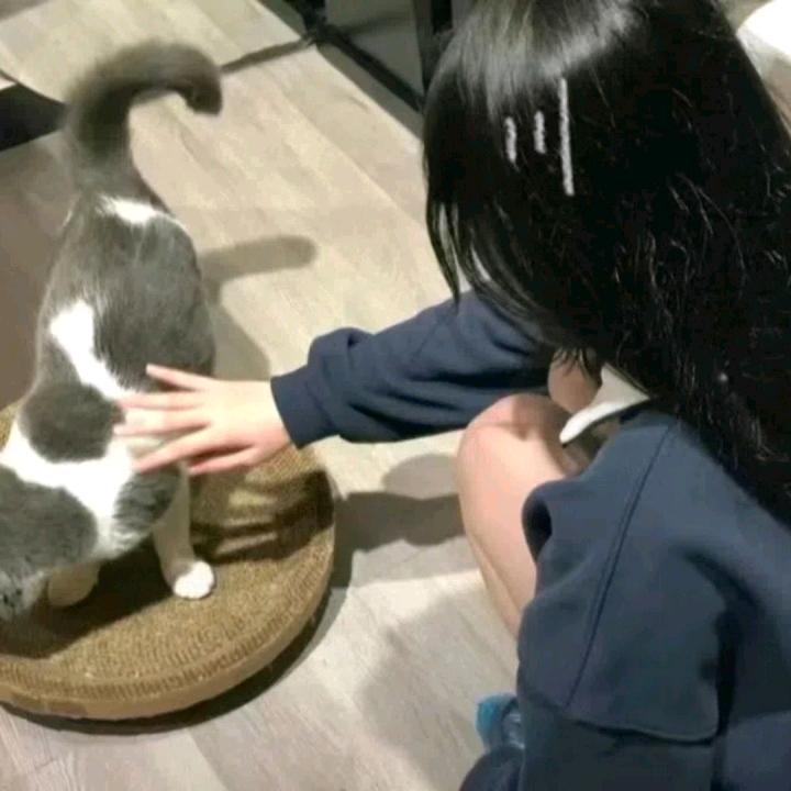 灰化肥会发灰