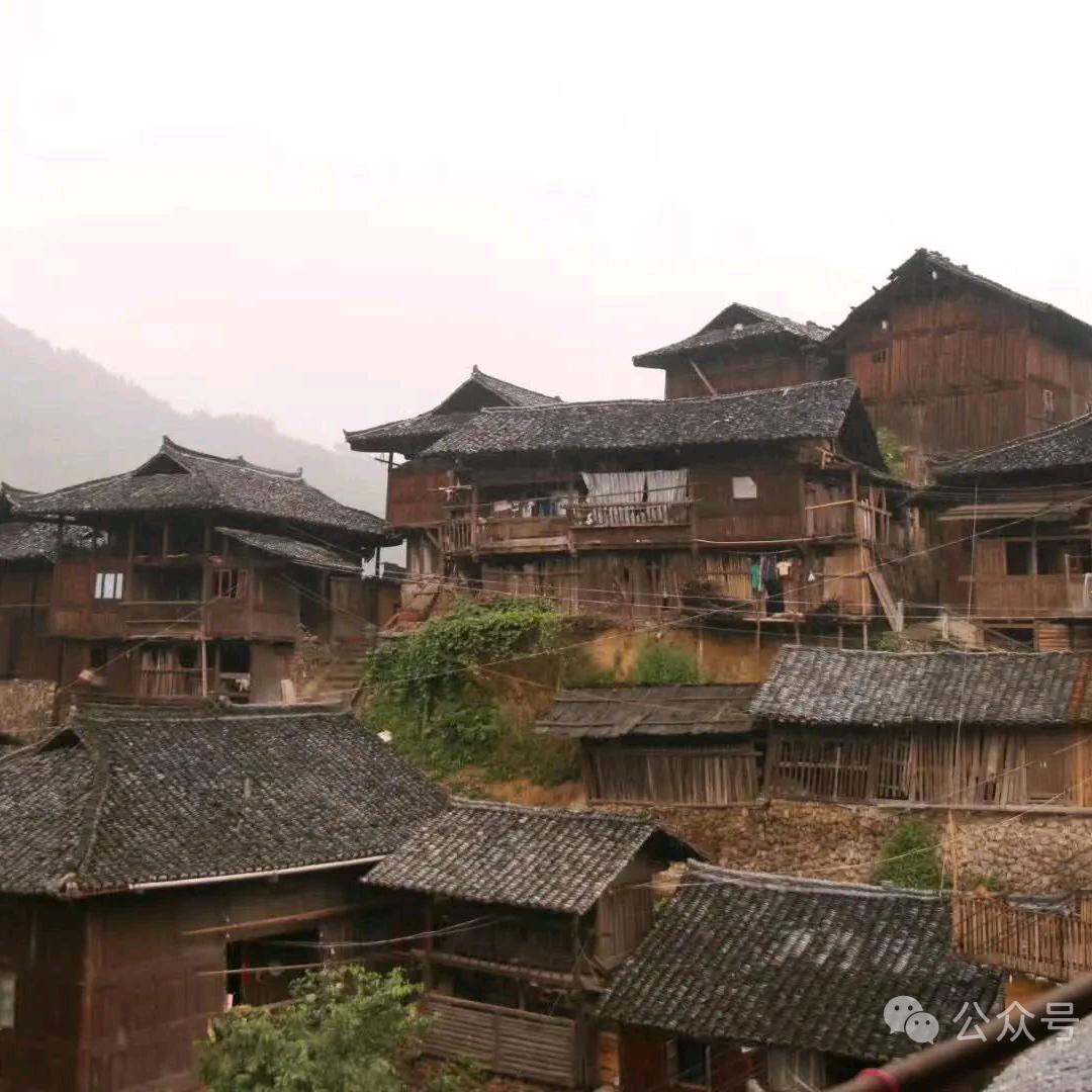 我家屋顶“无迪”