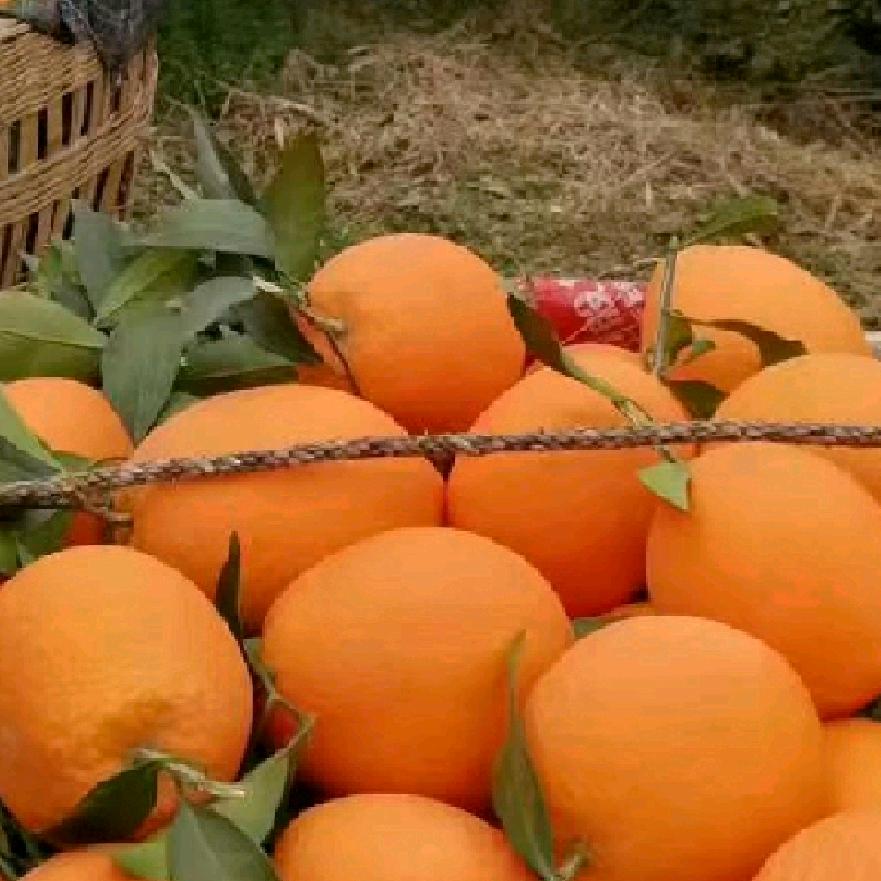 不是我想要的结果