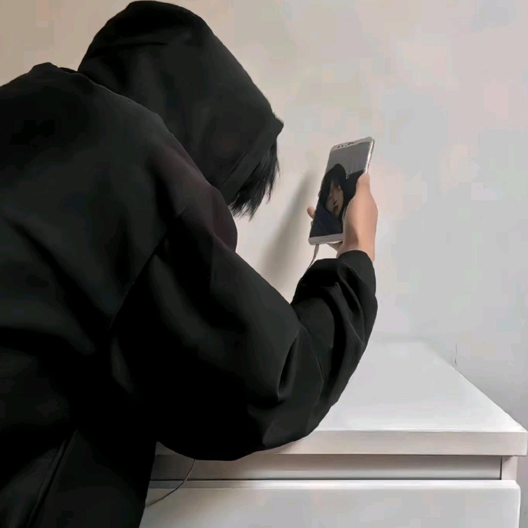 夹叙夹议