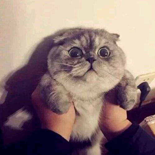 尹绪超