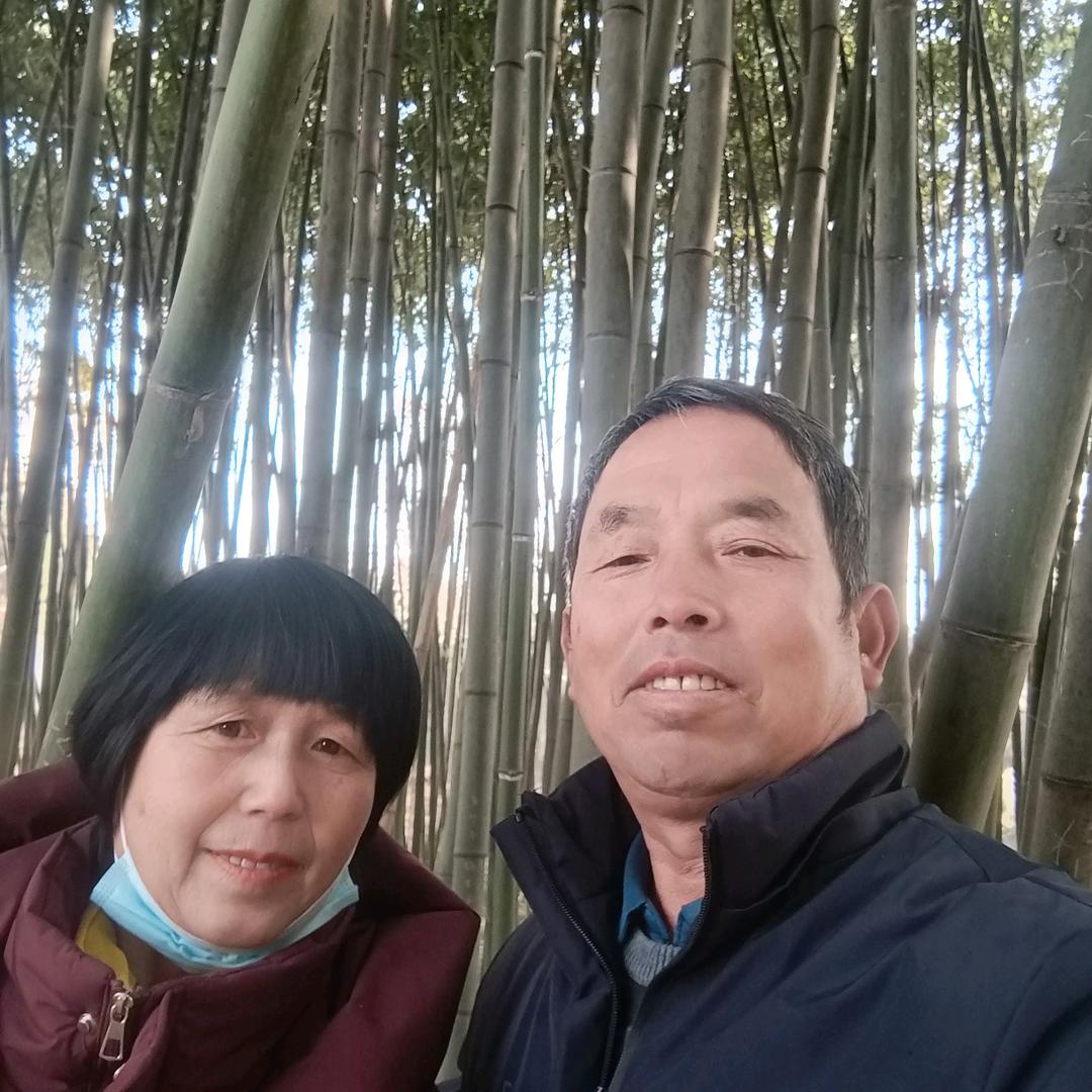 许你一世幸胡