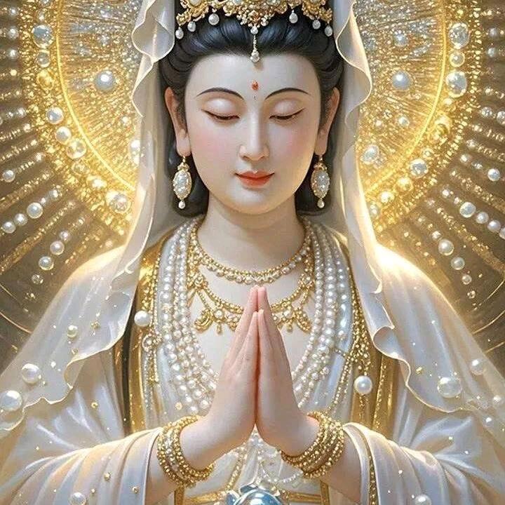 墨家班👍❤️🌹风华多彩