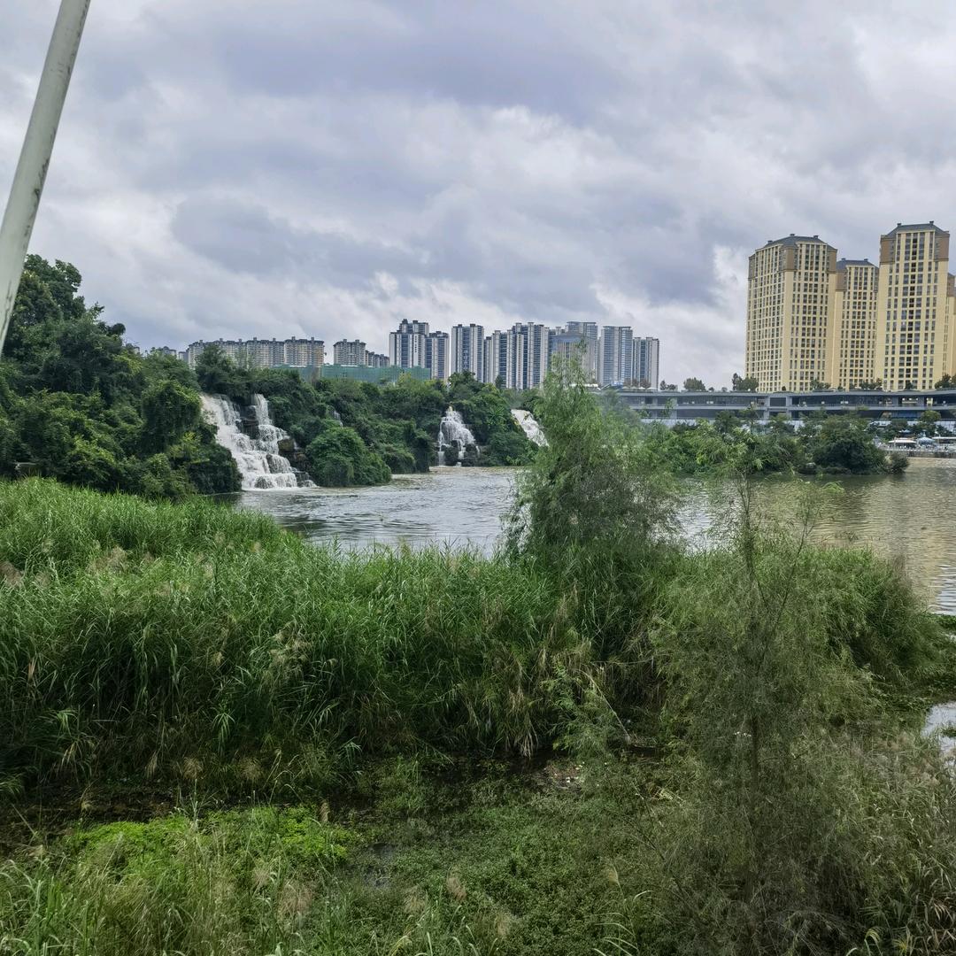 光芒万丈晓灰灰