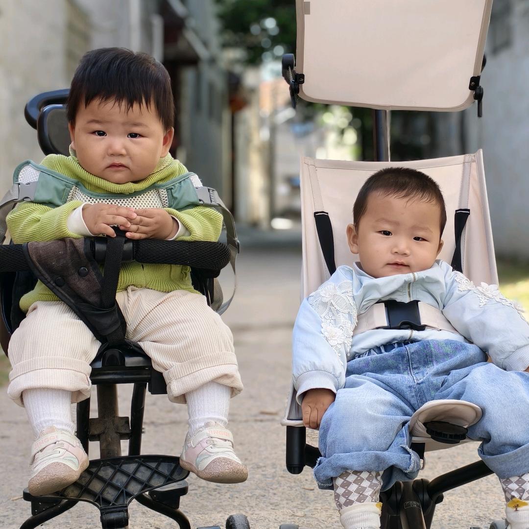 暴龙加辣椒
