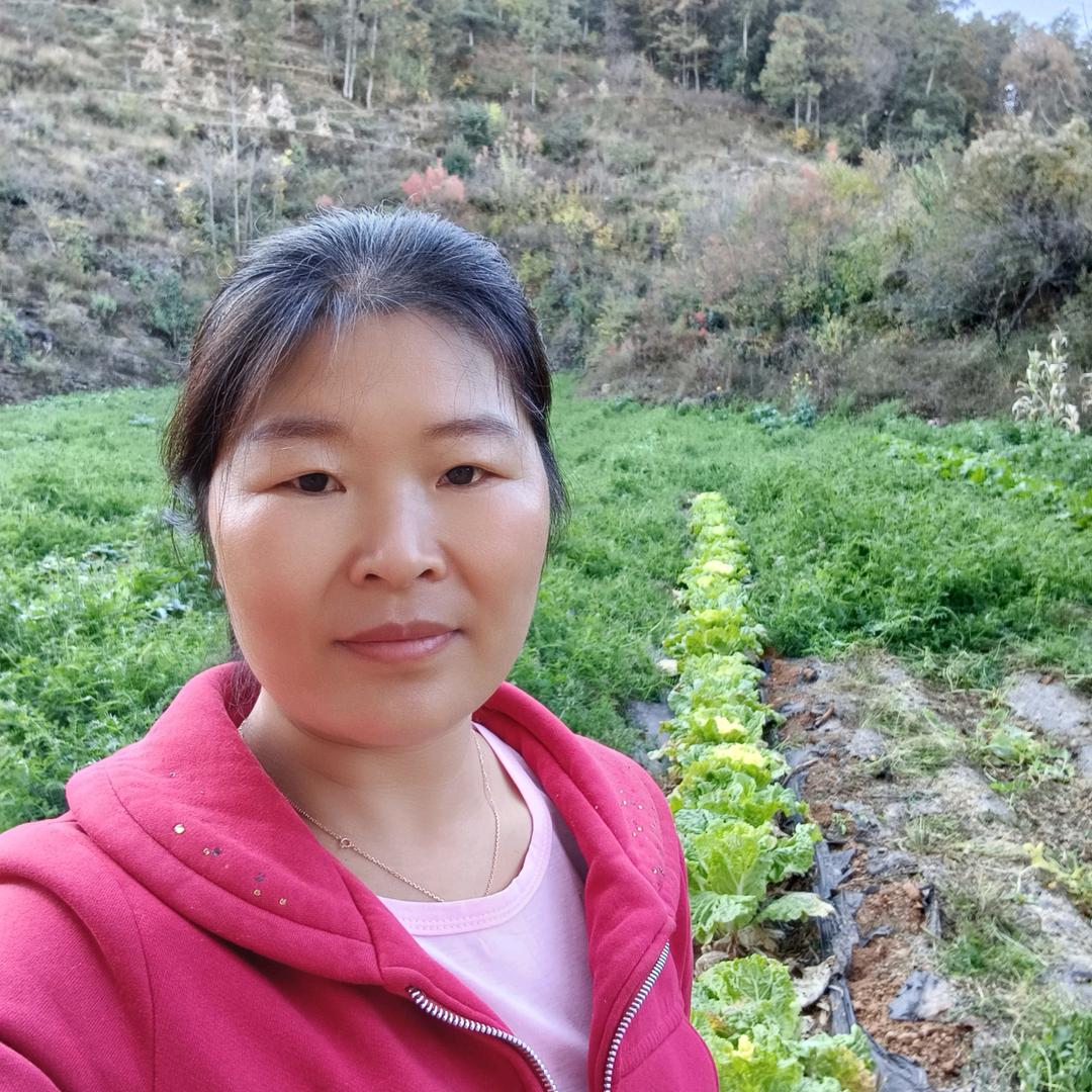 小丽姐（首播）