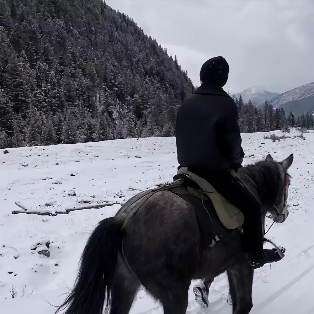 ༺༃逆风༒而上༃༻