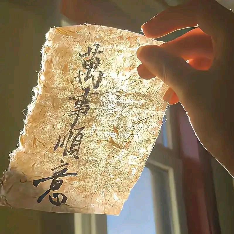 蒙奇🏨