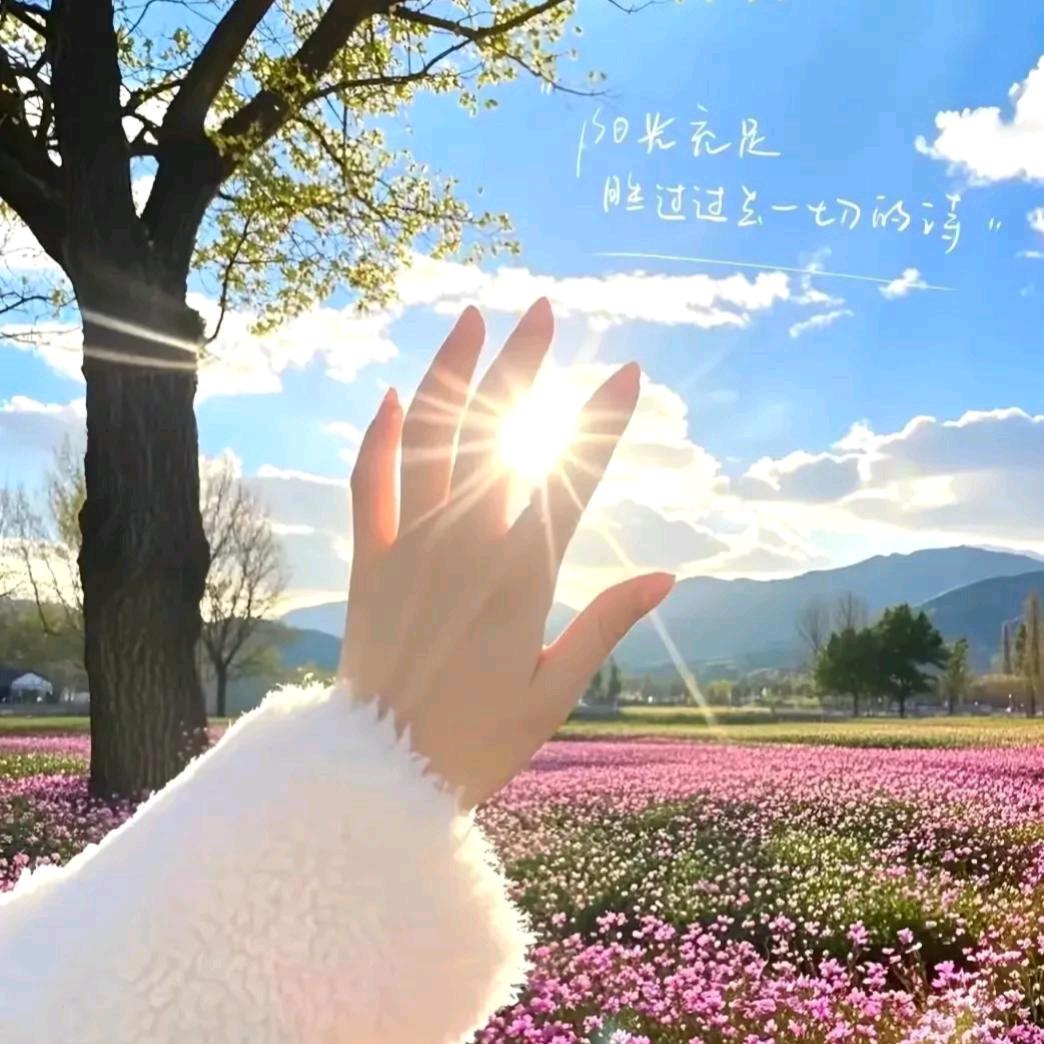 默然🌸宝