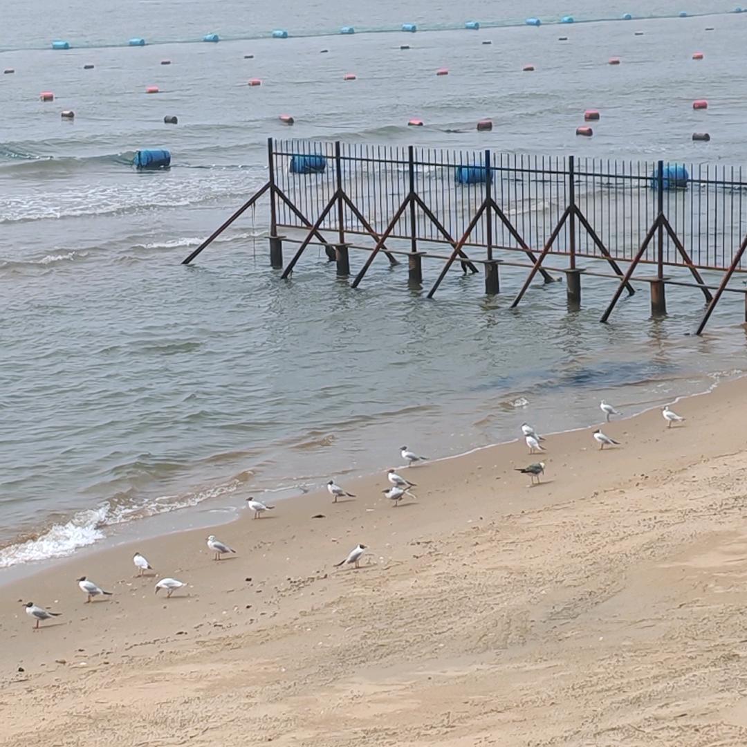 封心锁爱 不负遇见