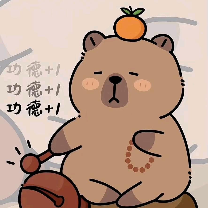小小橘🍊