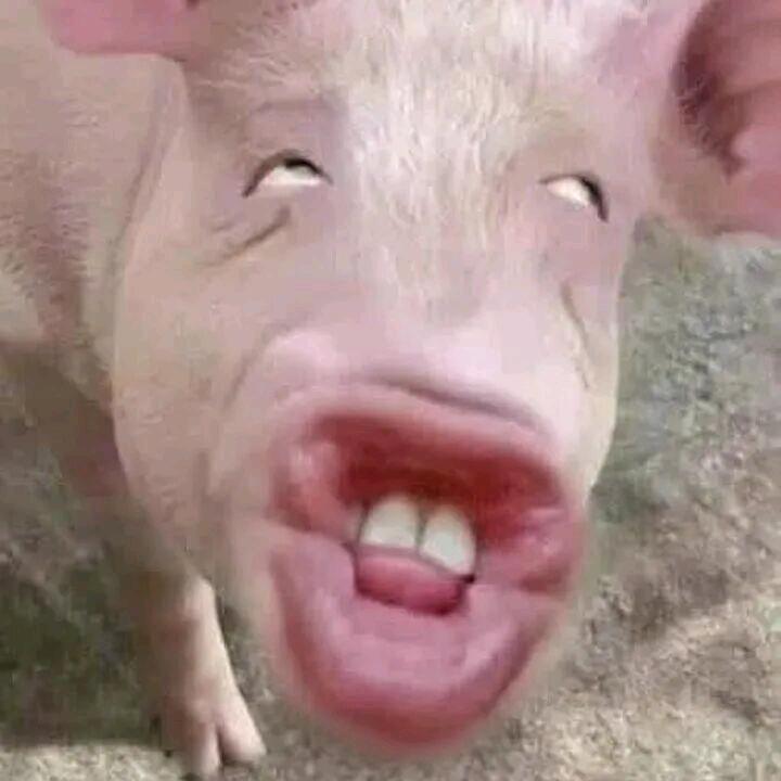 153.8纯情帅奶虚弱辣条音努力变富