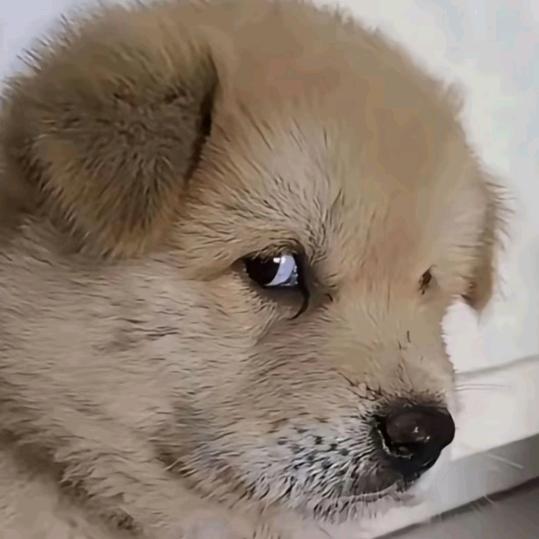 ＠_＠☞《杰哥》