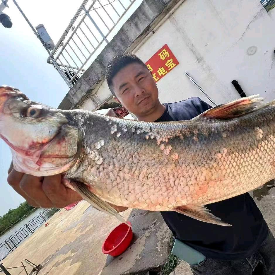 丁稳钓场农场
