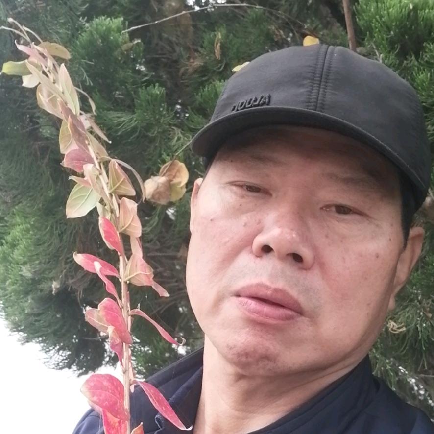 广野陈风