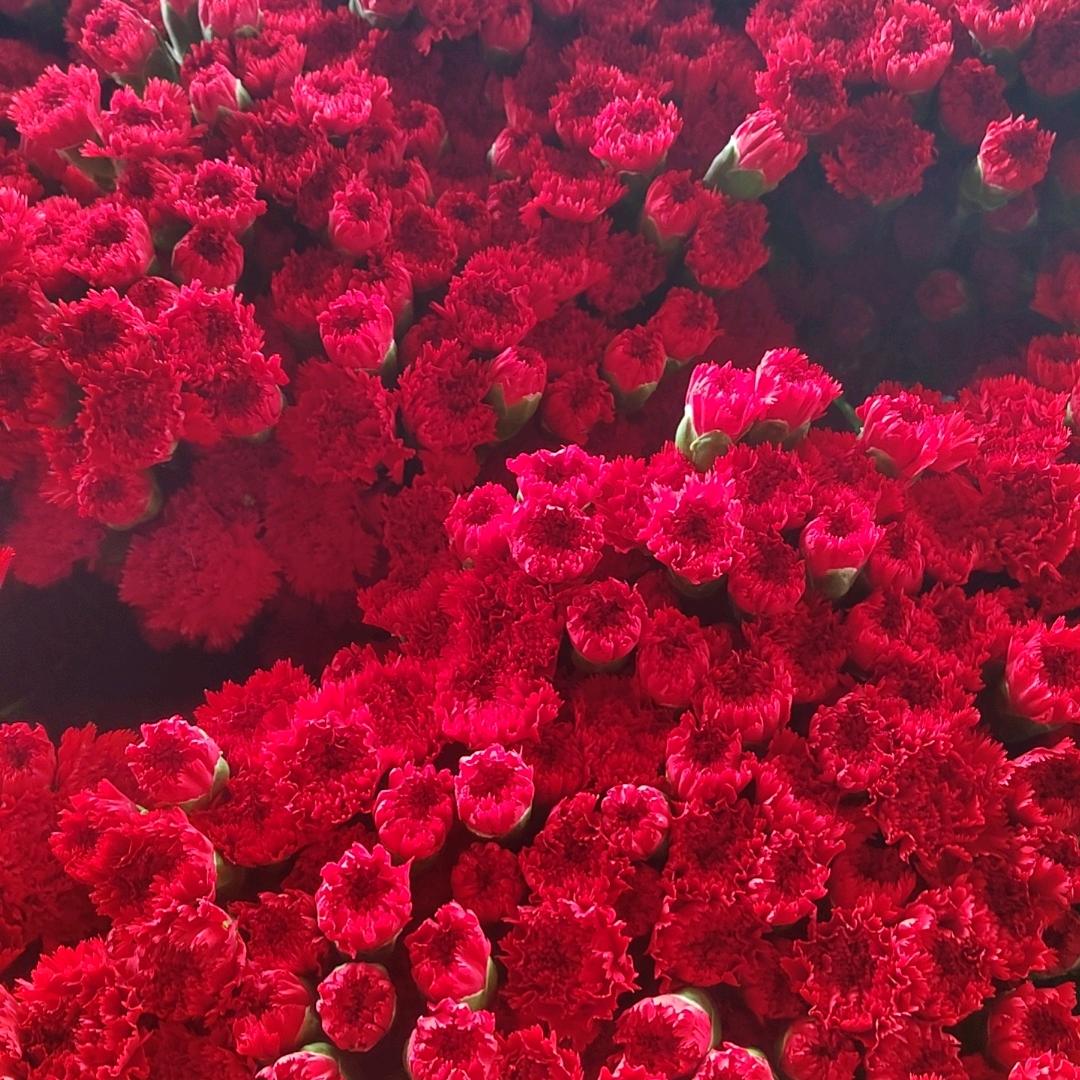 昆明基地鲜花批发商