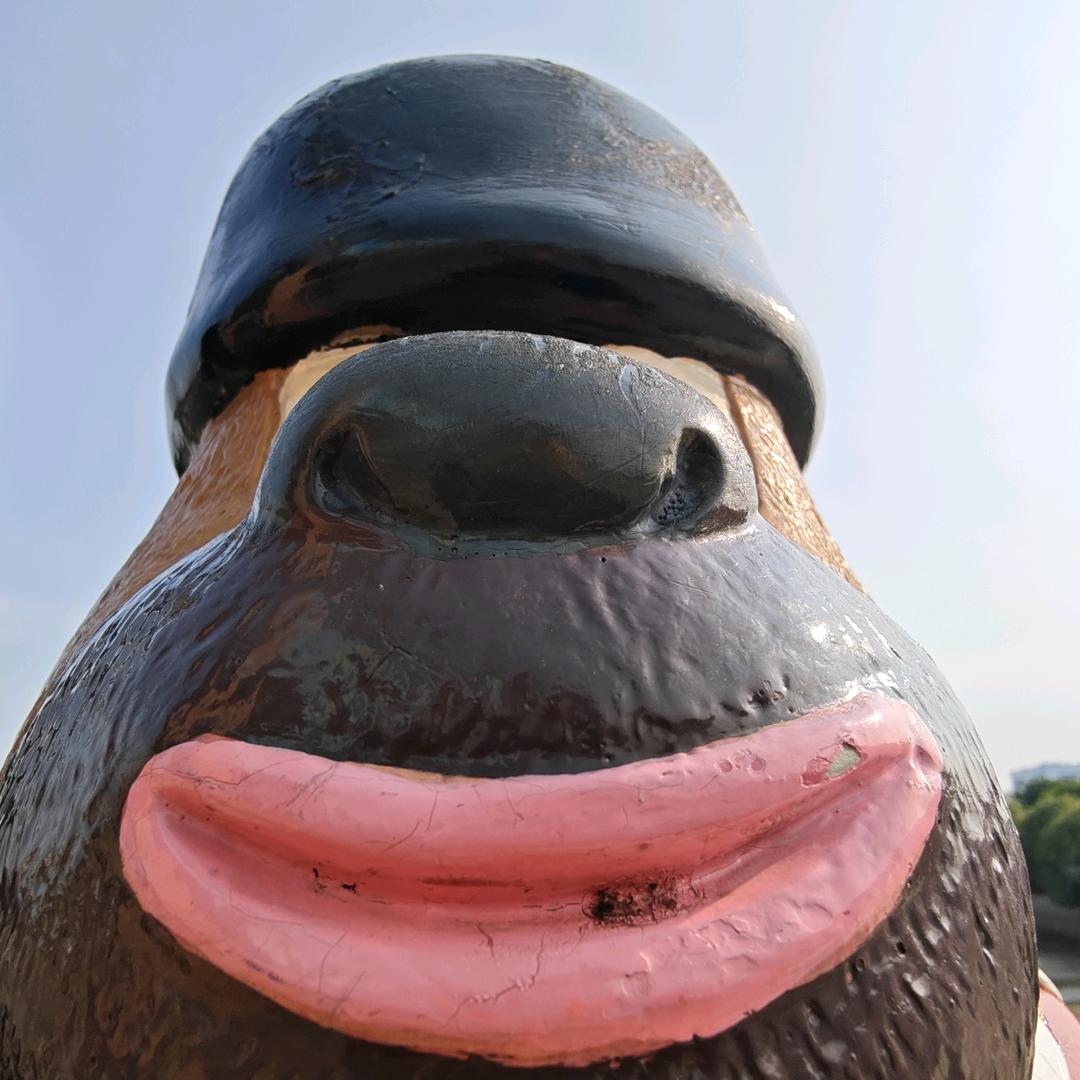 几何体