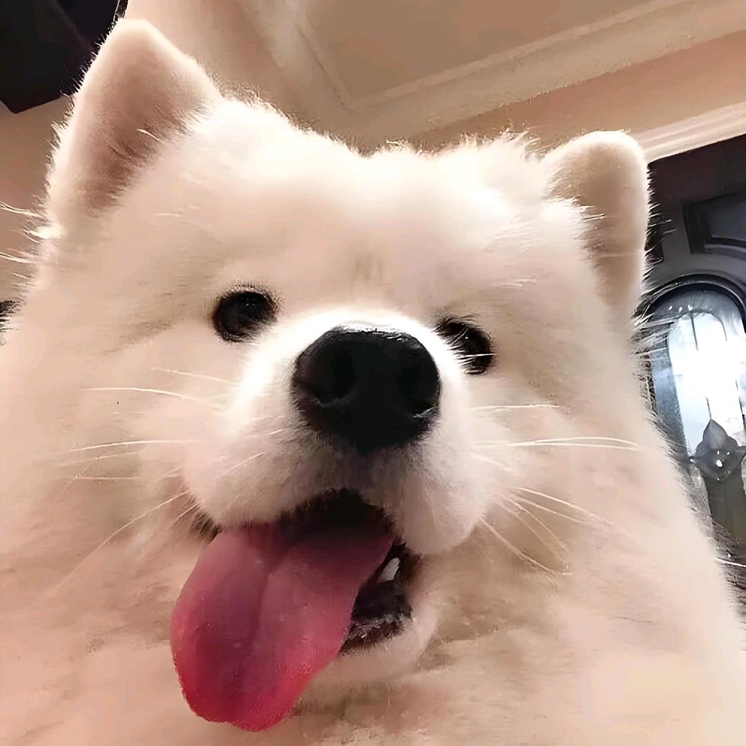 破推文主包