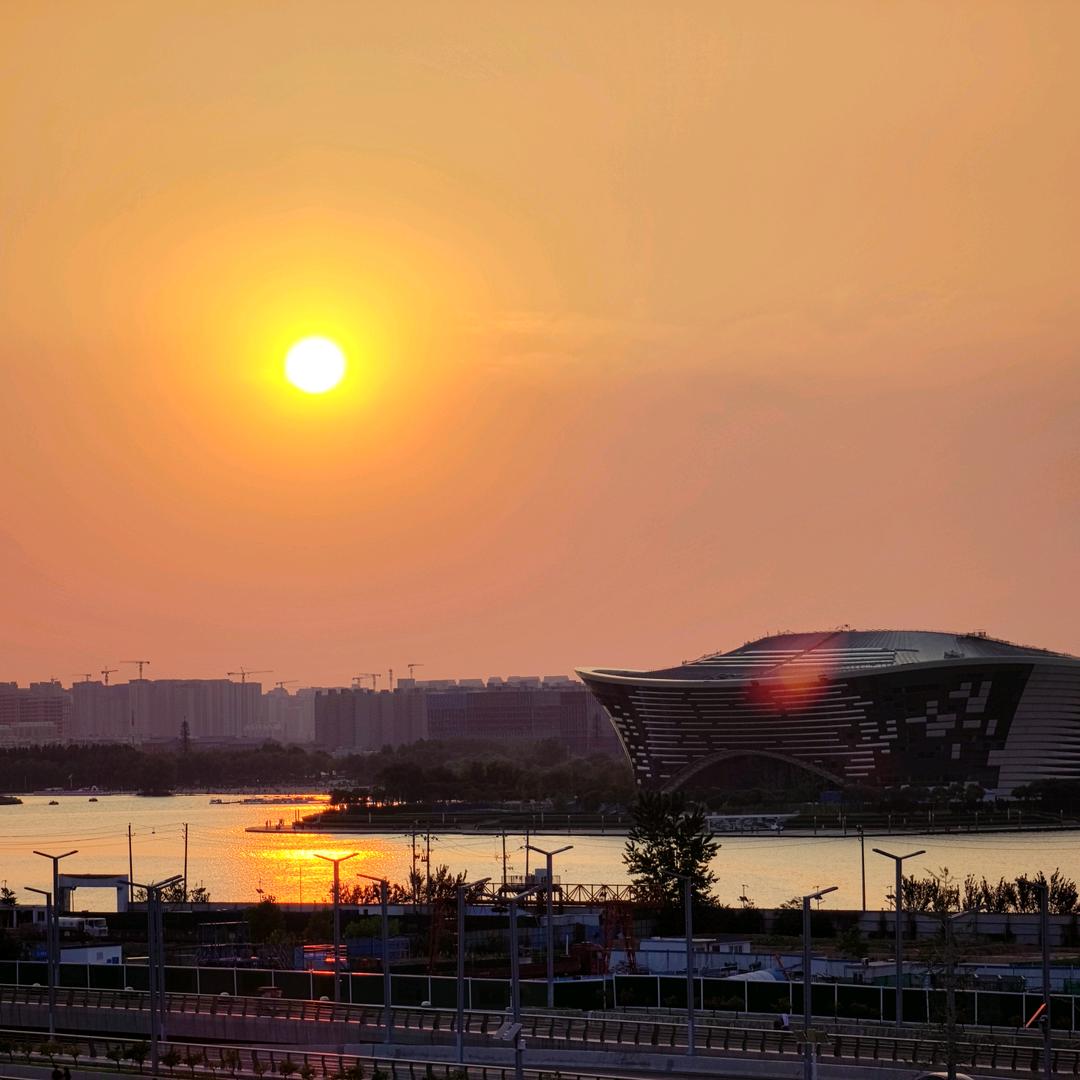 诺亚方舟崔先生