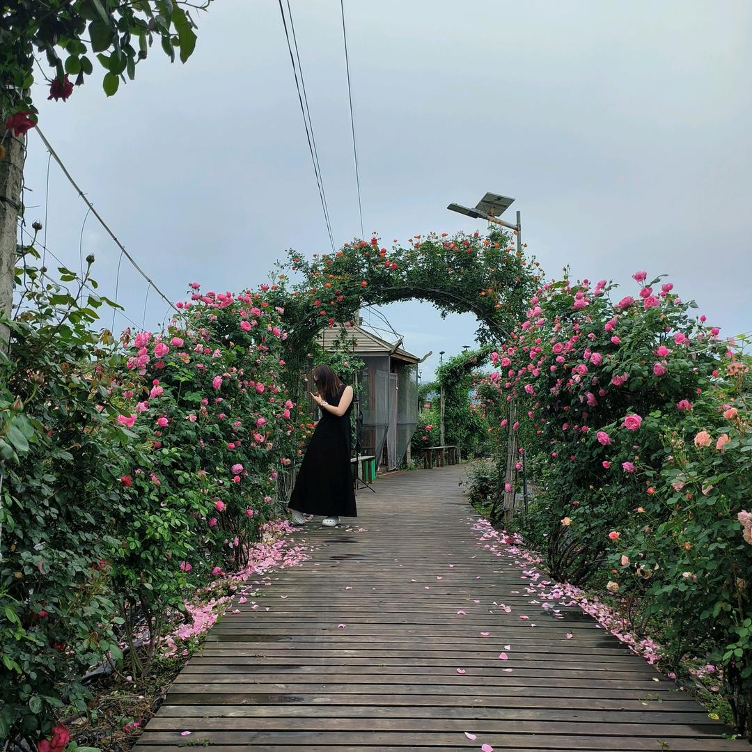 琴🍀漫漫